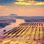 Avatar de Manuel Saavedra